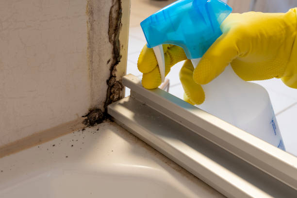 Best Emergency Mold Remediation  in Sigourney, IA